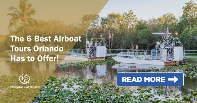 The 6 Best Airboat Tours Orlando Has to Offer!