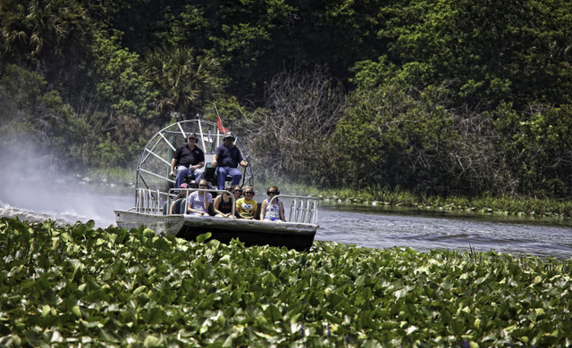 Group of People On an Airboat | Westgate River Ranch Activities