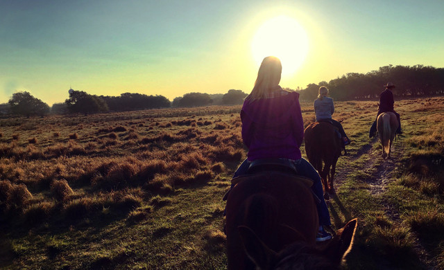 Dude Ranch Resort | People Riding on Horses at Westgate River Ranch