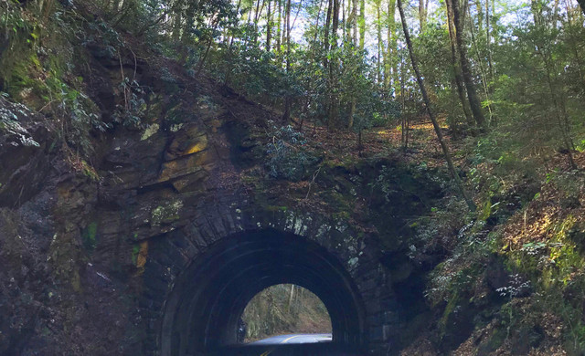 Great Smoky Mountain Jeep Invasion | Tunnel Going through Woods