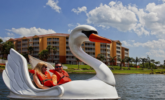 Baby Otter Swim School - Couple in Swan Boat