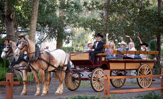 Family Taking Ride In Horse Carriage