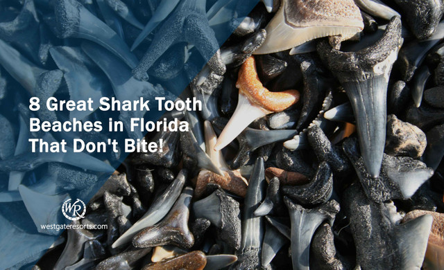 Blog de Florida - Westgate Resorts