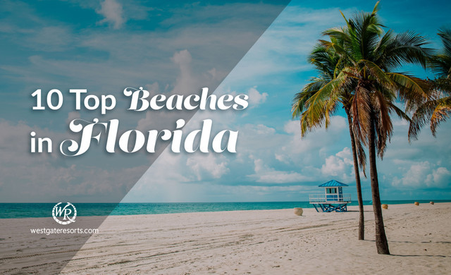 DEMA Show 2022: Blog de las 10 mejores playas de Florida