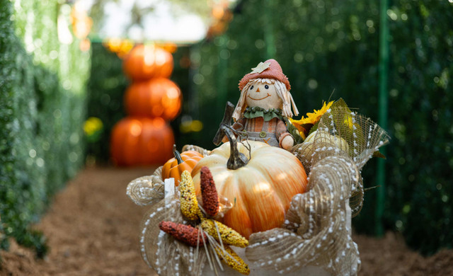 Cowboy Adventure Park and Florida Fair - Westgate River Ranch Resort & Rodeo