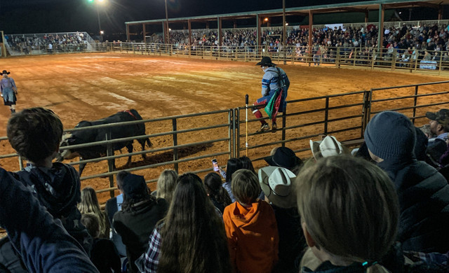 Digital Detox Retreat for Adults – rodeo