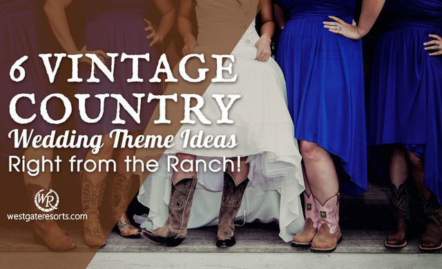 Fiestas de cumpleaños temáticas del país Country