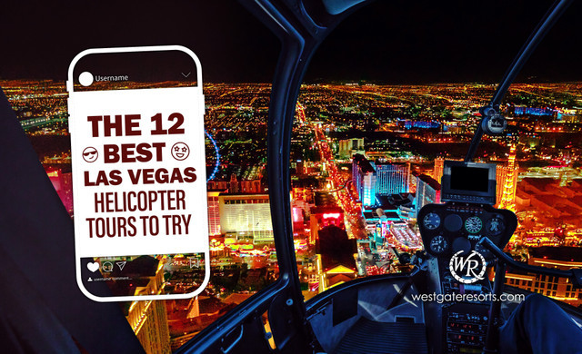 Online Exclusive - WLV | Dog Friendly Vegas