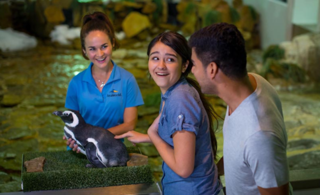 Palace Towers Behind Flowers