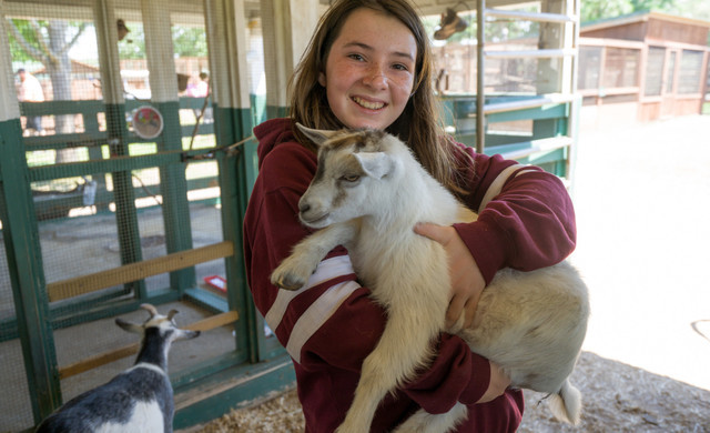 things to do in lake wales - westgate river ranch