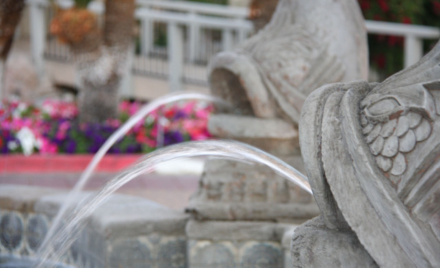 Oasis Palm Springs - Fuente Boca de Pez