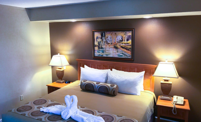 Oasis Palm Springs - Cama Queen