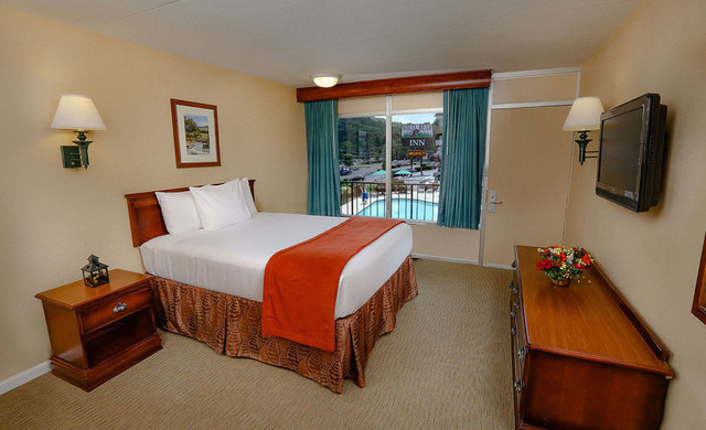 Hotel Deals in Pigeon Forge | Discounts and Special Offers at Wild Bear Inn