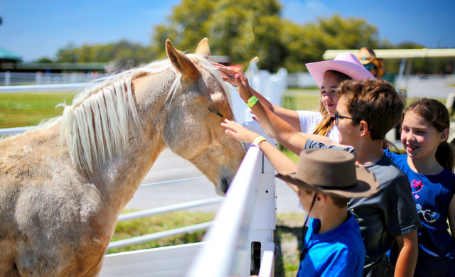 Petting Farm Near Orlando, FL |  Westgate River Ranch Resort & Rodeo | Westgate Resorts