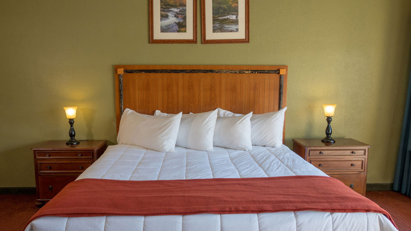 Accommodation Option -standard-king-guestroom