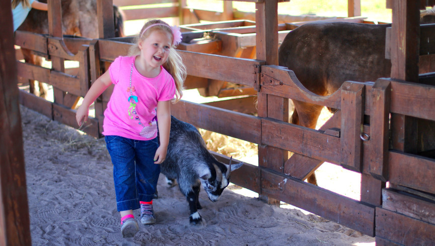 Kids Petting Zoo Near Orlando, FL |  Westgate River Ranch Resort & Rodeo | Westgate Resorts