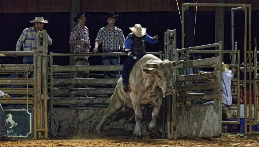 Rodeo near Orlando, FL | Westgate River Ranch Resort & Rodeo