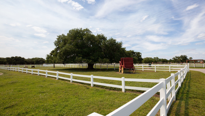 Petting Farm in Westgate River Ranch Resort & Rodeo