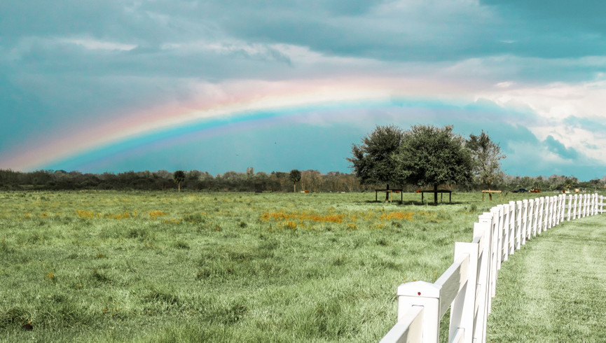 Rainbow Over the Field - Westgate River Ranch Resort & Rodeo
