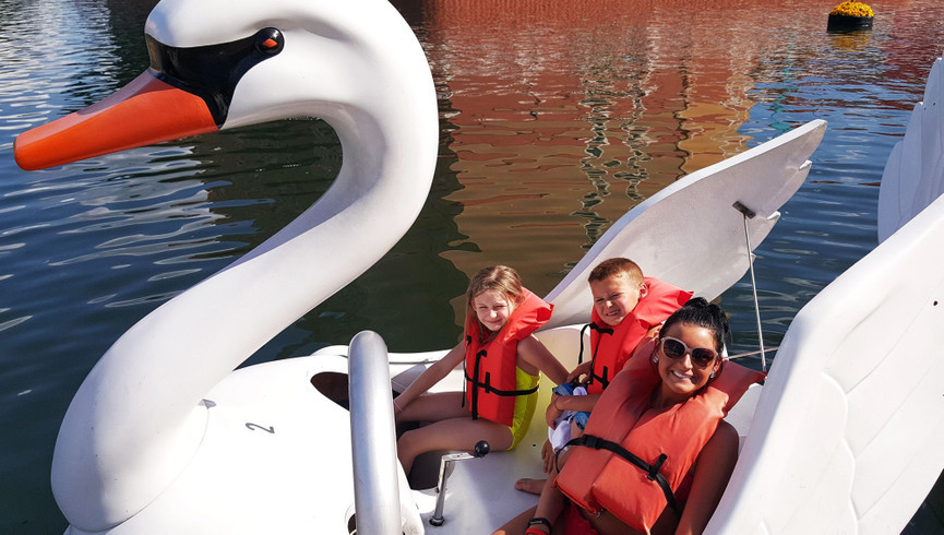 Swan Boat Rentals for Families - Westgate Town Center