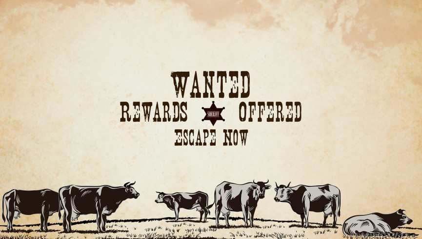 Escape Room Near Orlando, FL |  Westgate River Ranch Resort & Rodeo | Westgate Resorts