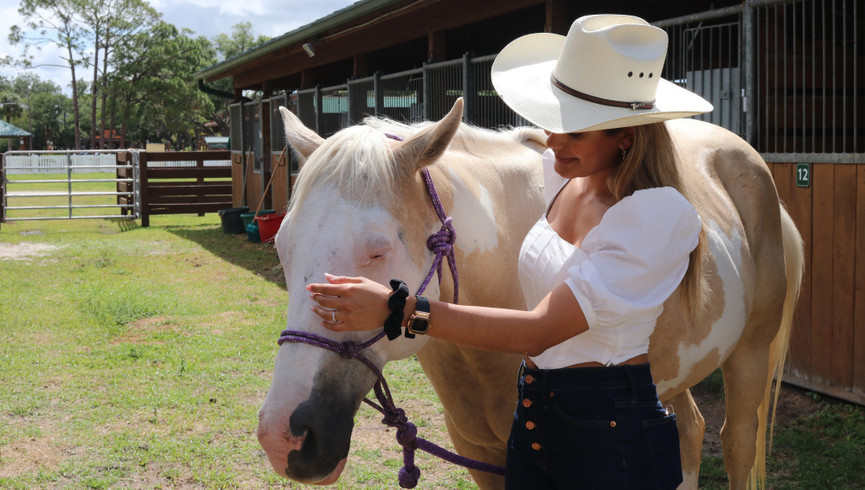 Woman Petting Horse | Westgate River Ranch Activity Guide