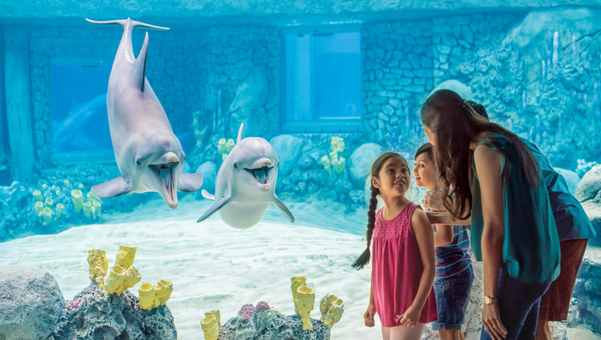 FAMILIA EN SEAWORLD - WESTGATE LEISURE COMPORT