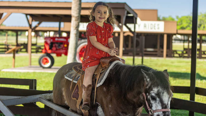Pony Rides