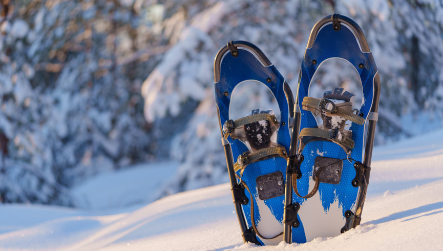 Winter Memories Await