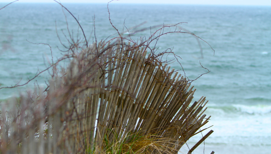 A Central Cape Cod Location