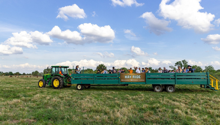 Hayride