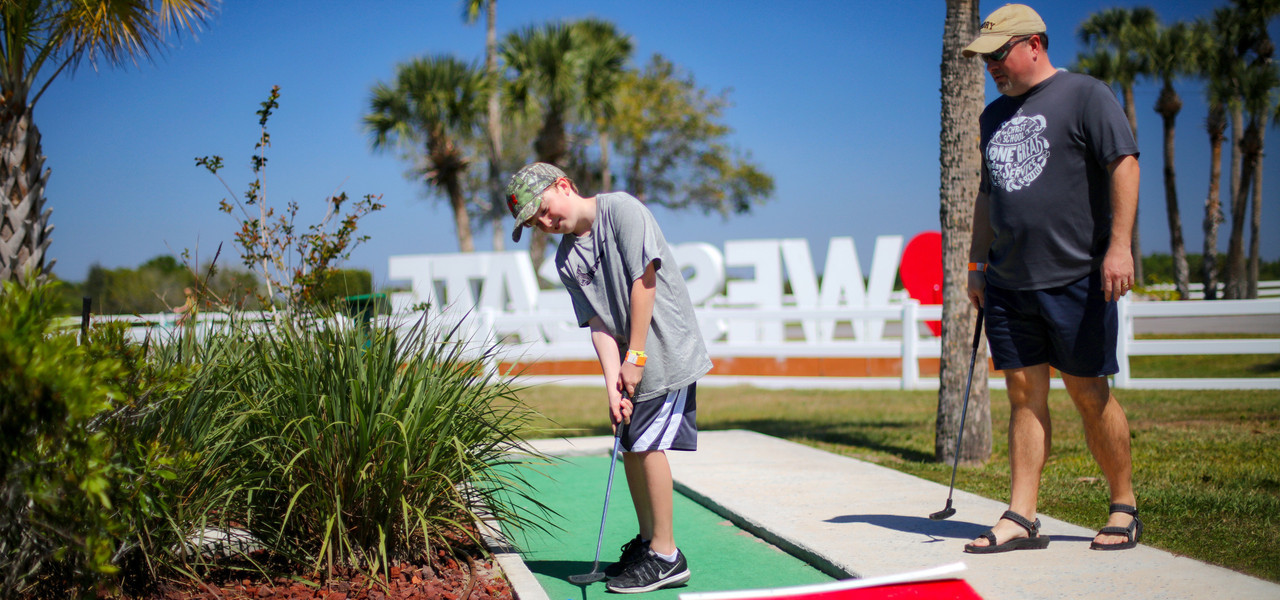 Game Pigeon Mini Golf How