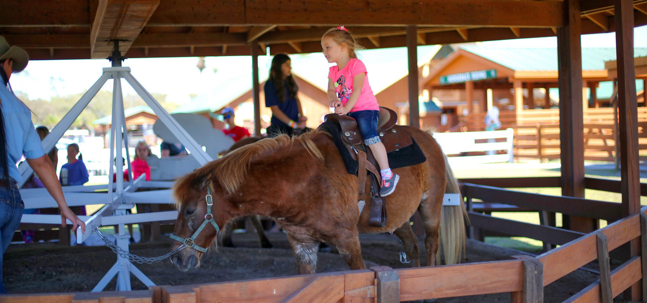 pony ride along