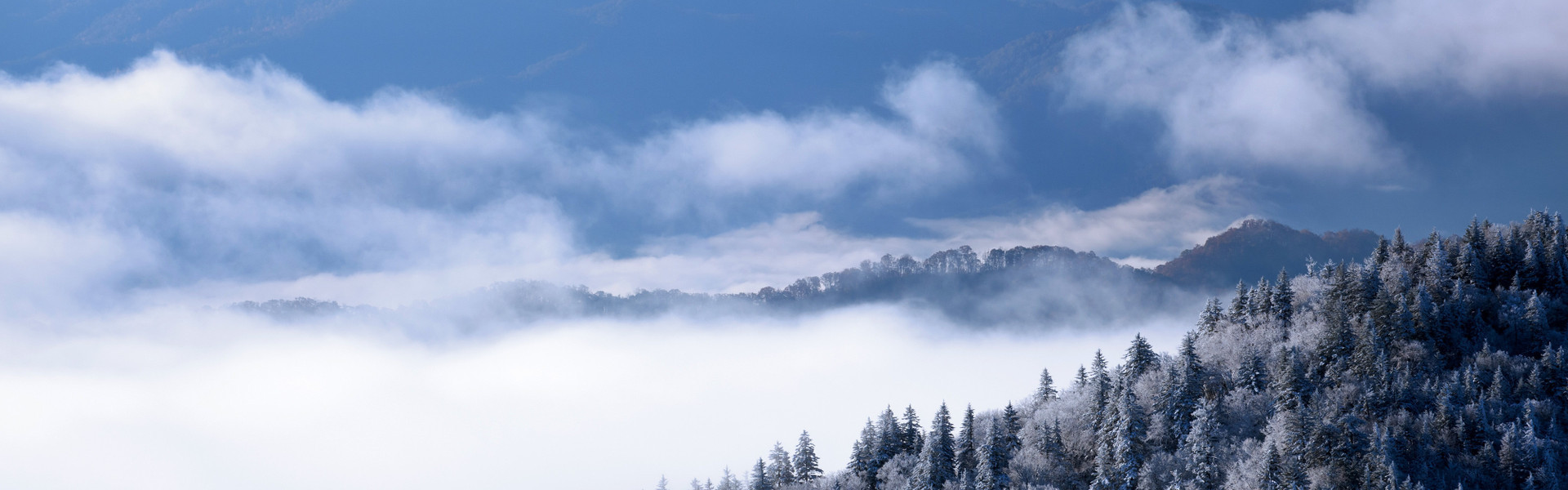 Guest Services at Our Gatlinburg Resorts | Westgate Smoky Mountain ...