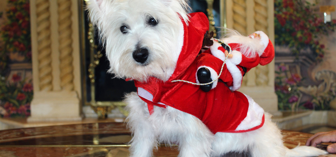 Sir Winston de Westgate