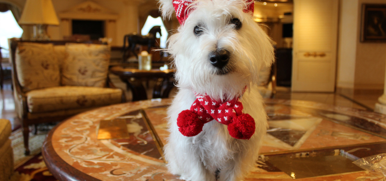 Sir Winston de Westgate