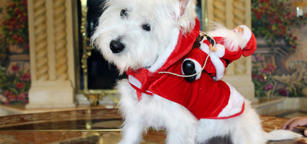 Sir Winston de Westgate