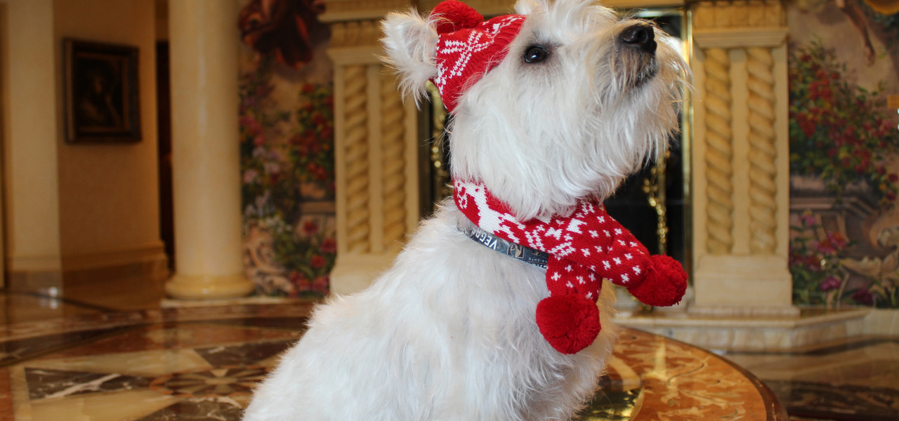 Sir Winston de Westgate