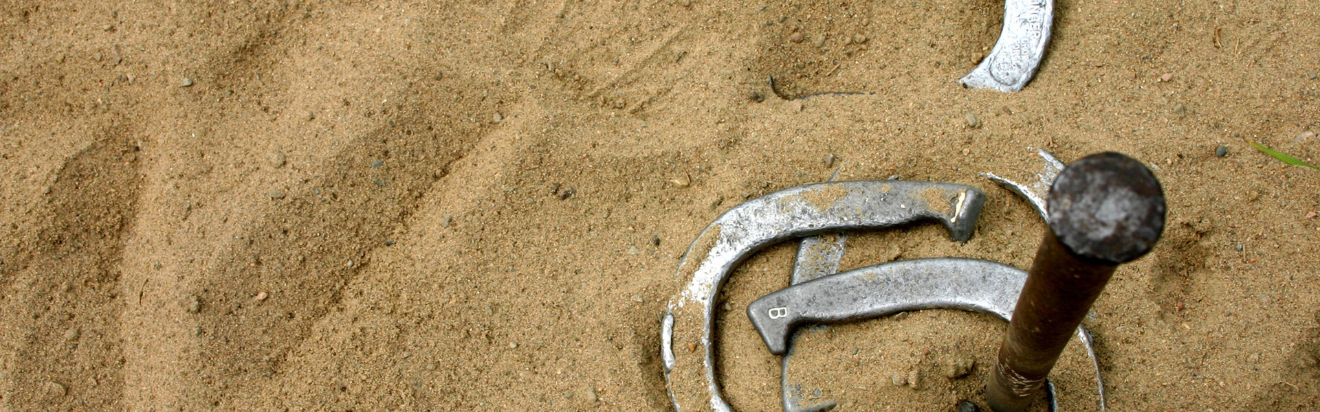 Family friendly las vegas hotel with horseshoe pit - westgate flamingo bay