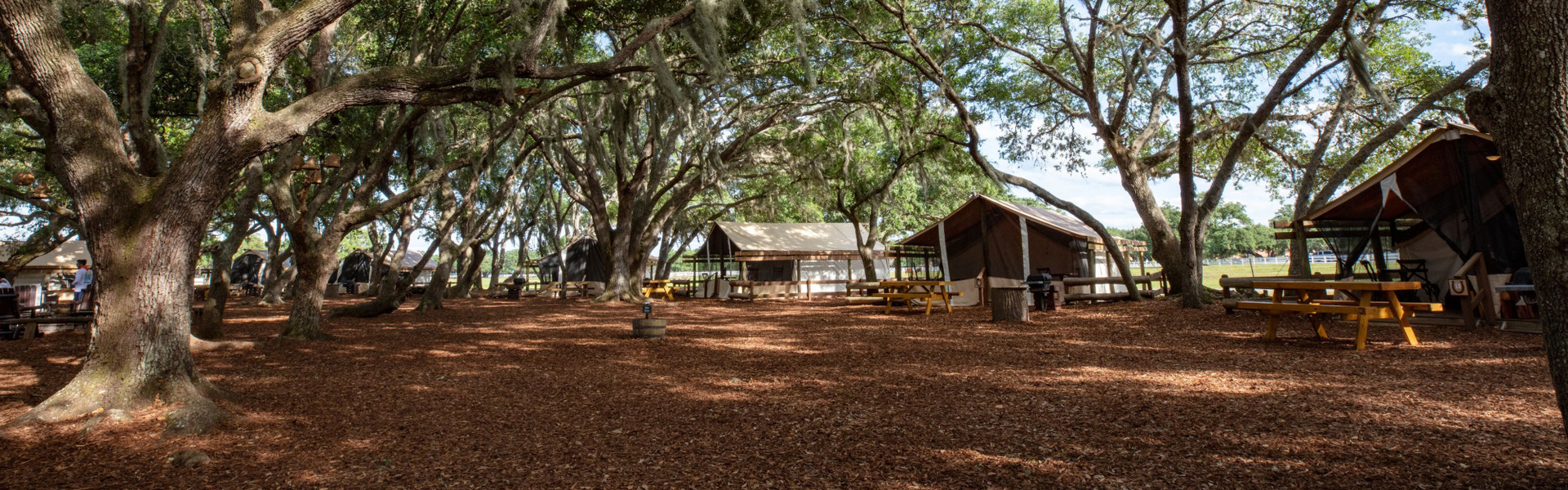 Accommodations Westgate River Ranch Resort Rodeo In River