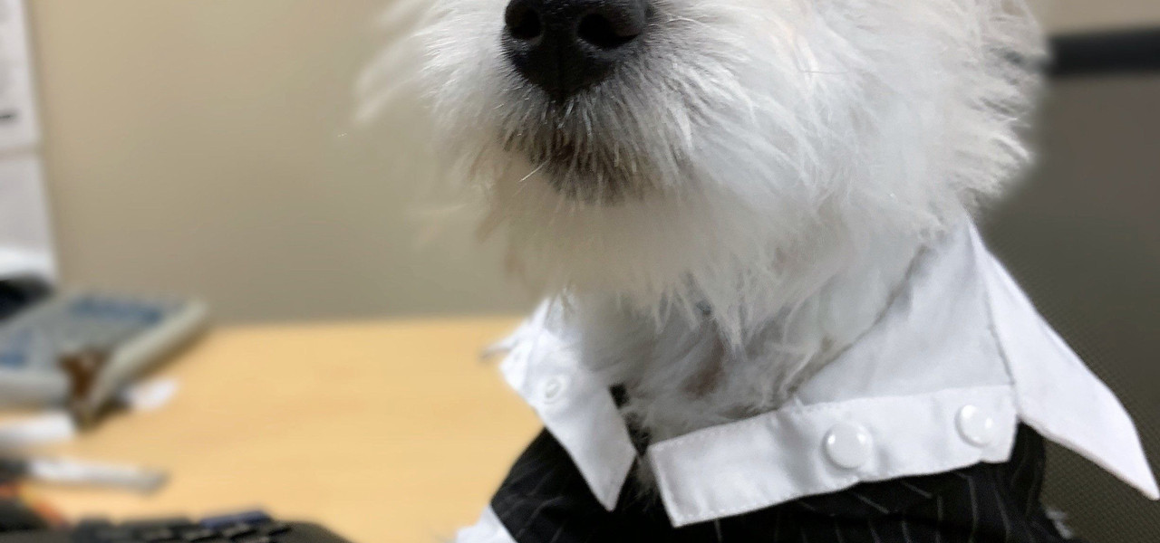 Sir Winston de Westgate