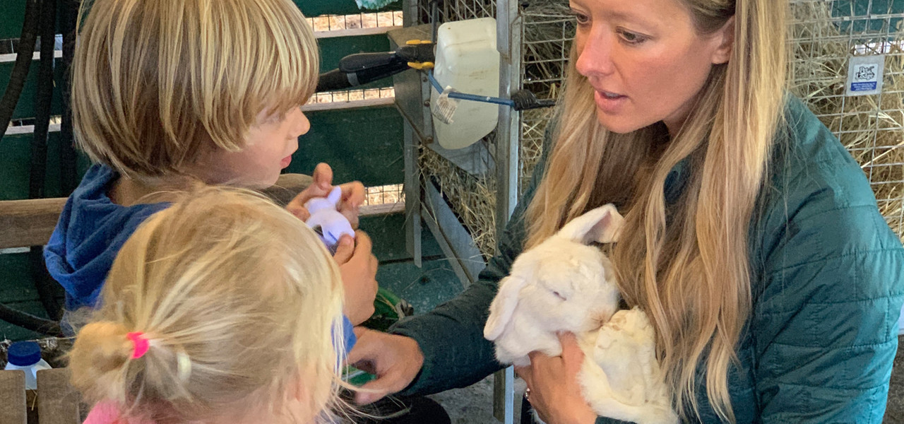 Retiro de desintoxicación digital para niños – Kids With Animals