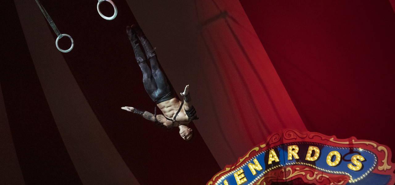 Circo Venardos en Kissimmee - Westgate Towers Resort