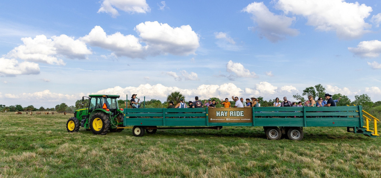 Hayride