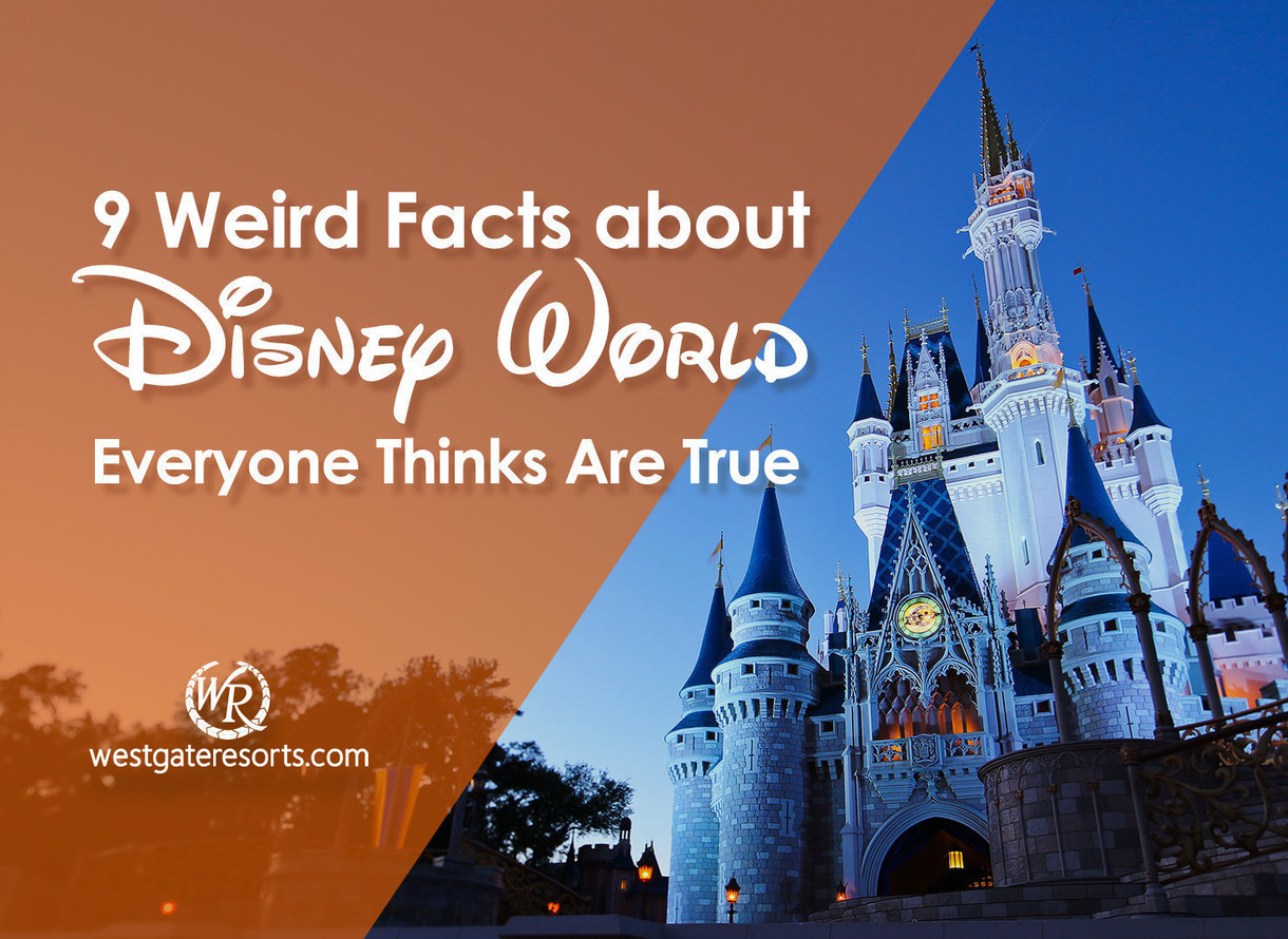 15 Interesting Facts About Disney Theme Parks That You Probably Didn't Know