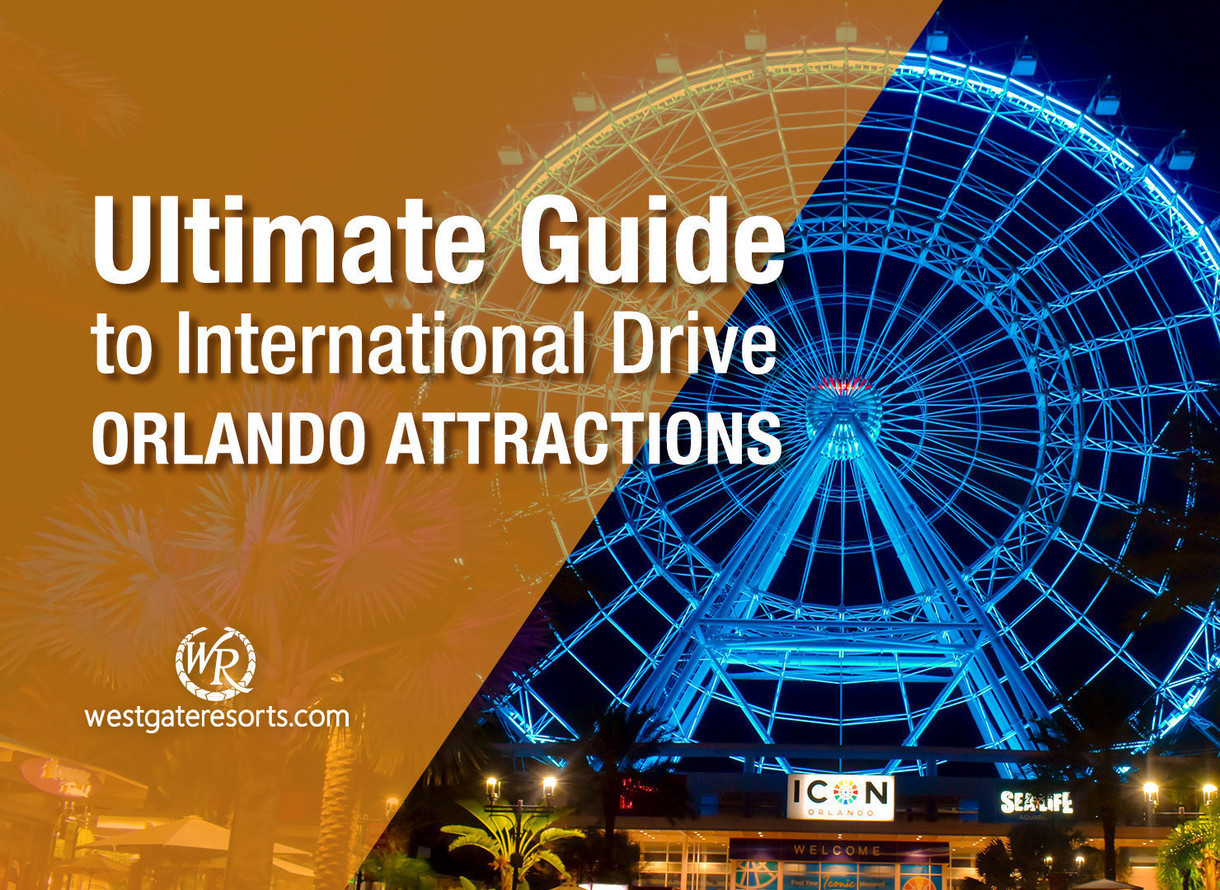 The Ultimate Guide To International Drive Orlando Attractions