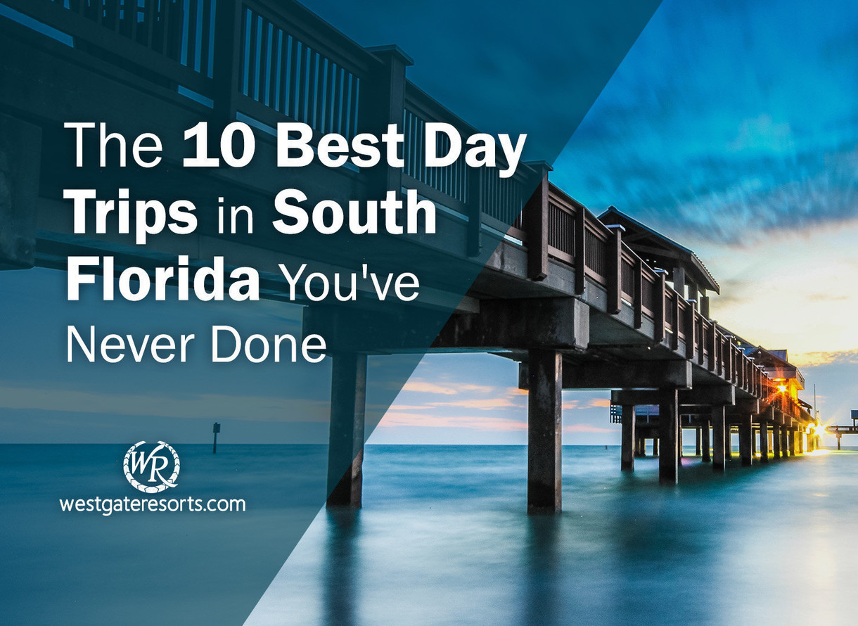 The 10 Best Day Trips In South Florida You Ve Never Done Westgate Resorts
