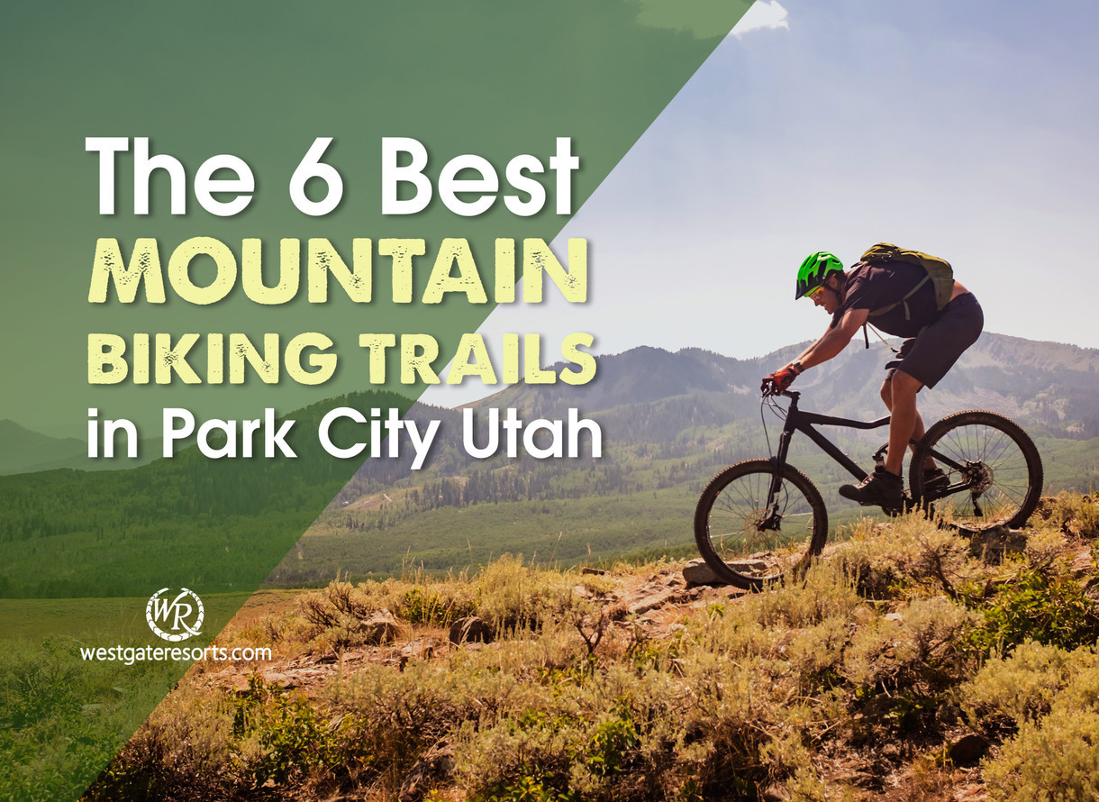 Los 6 mejores senderos para ciclismo de monta a en Park City Utah