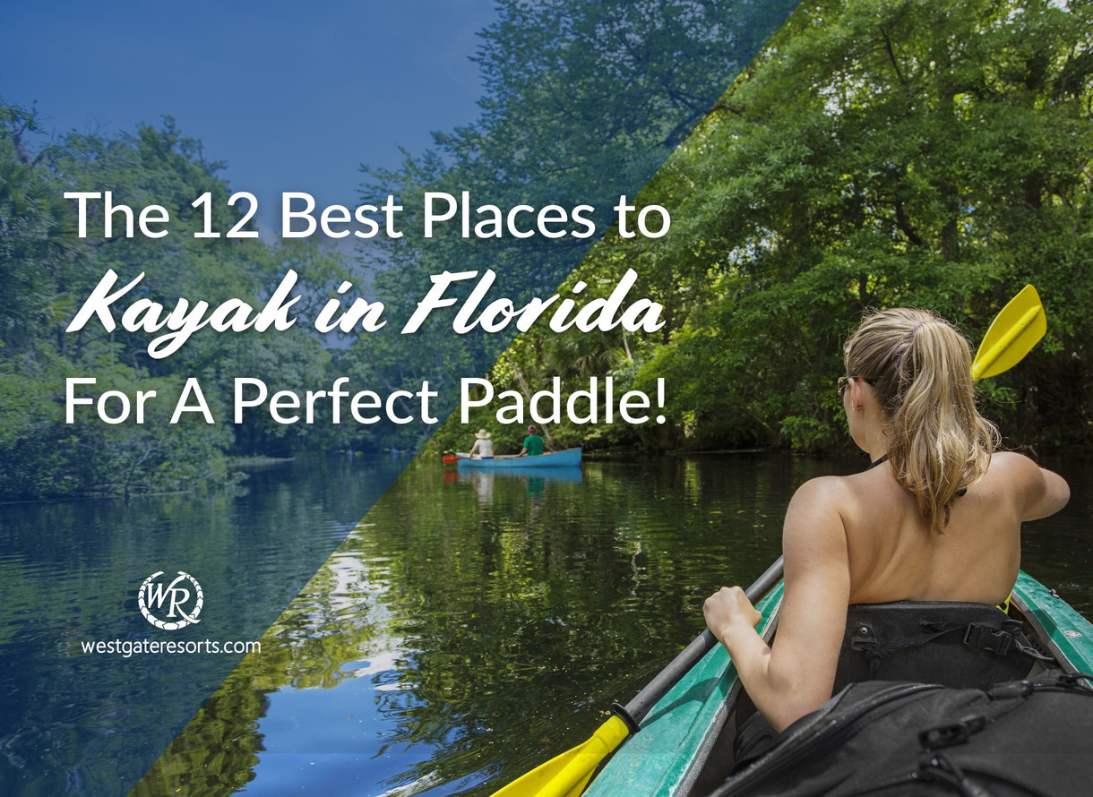 The 12 Best Places to Kayak in Florida For A Perfect Paddle