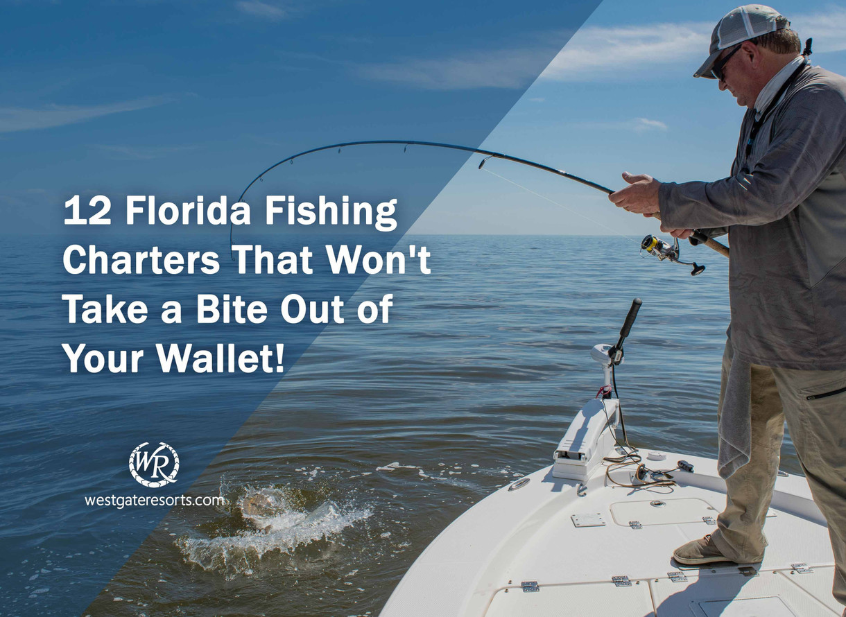 12 Florida Fishing Charters That Won't Take a Bite Out of Your Wallet!